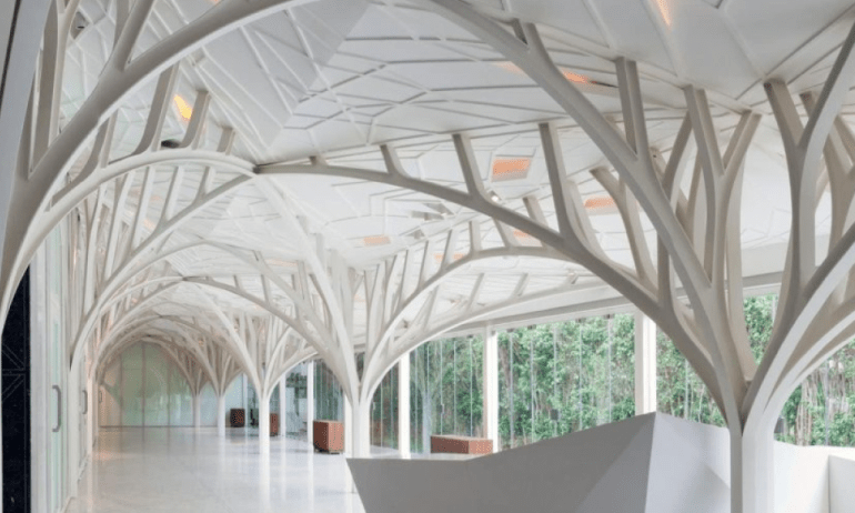 Diversity with Architectural Tree Structure Works in UAE
